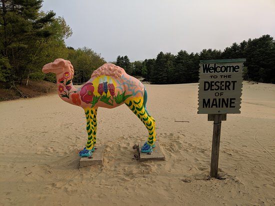 Desert of Maine